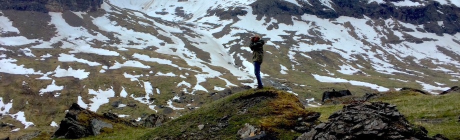 Can you say “Gearggevággi?”