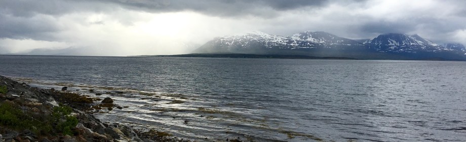 The Norwegian Campaign