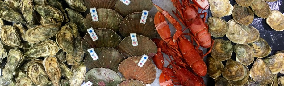 Just for the&nbsp;Halibut