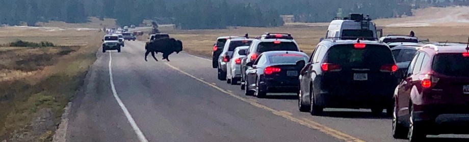 An Unexpected Detour