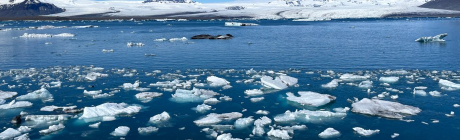 Glacier Lagoon