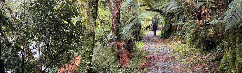 Milford Track