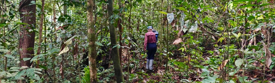 Into the Heart of&nbsp;Borneo